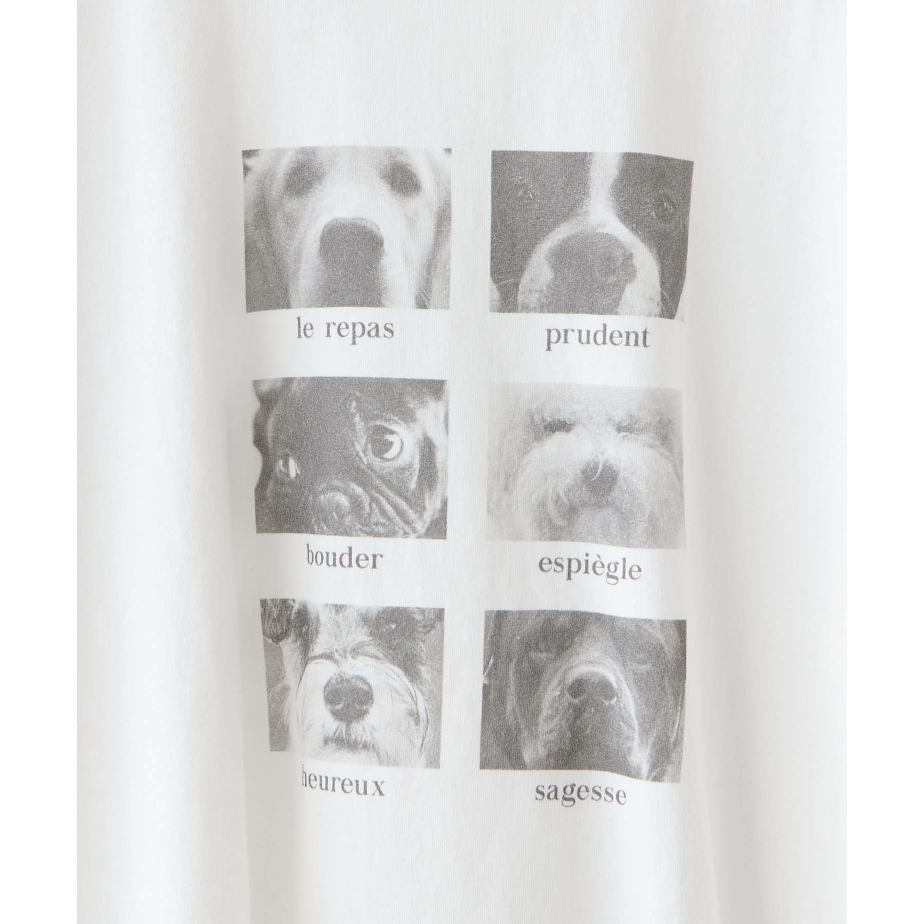 【ユニセックス】アソートアニマルボックスフォトTシャツ